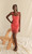 Caitriona Mini Dress - Poppy
