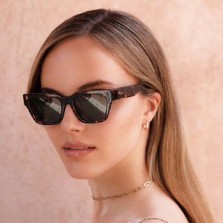 Hayden - Brown Tortoise