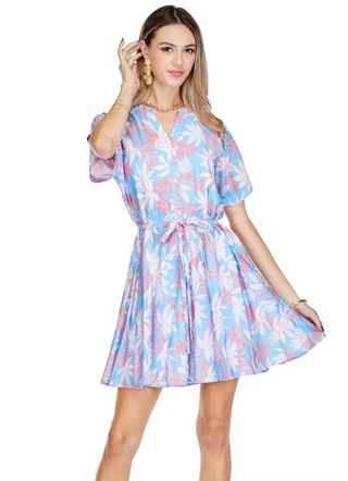 Button Front Flared Dress - Multi Ferns